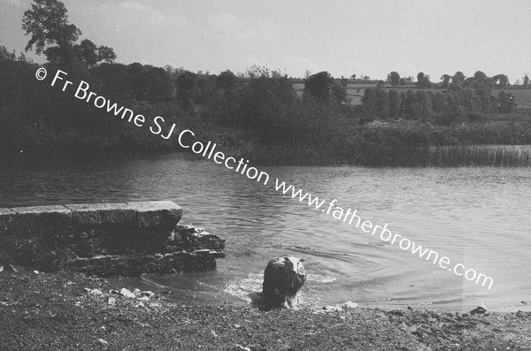 SHEEP WASHING IN RIVER BARROW